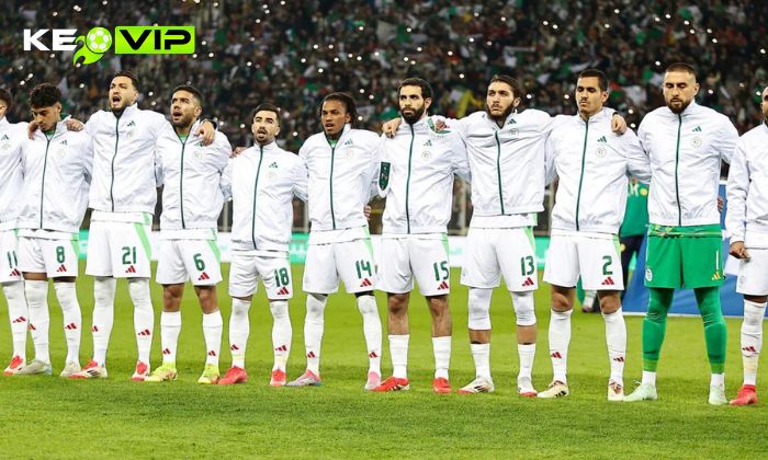 Algeria đại diện cho sự ngẫu hứng kết hợp lối chơi rình rập thực dụng