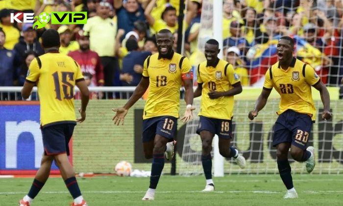Đội tuyển Bóng đá Quốc gia Ecuador