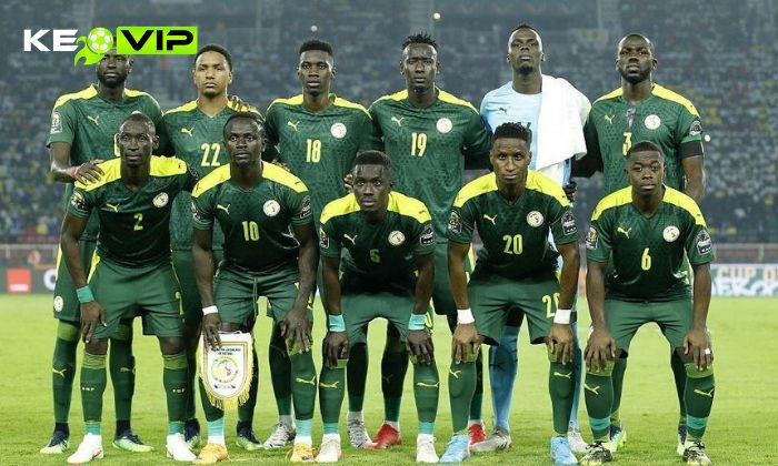 Đội tuyển bóng đá quốc gia Senegal