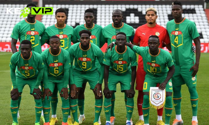 Đội tuyển quốc gia Senegal